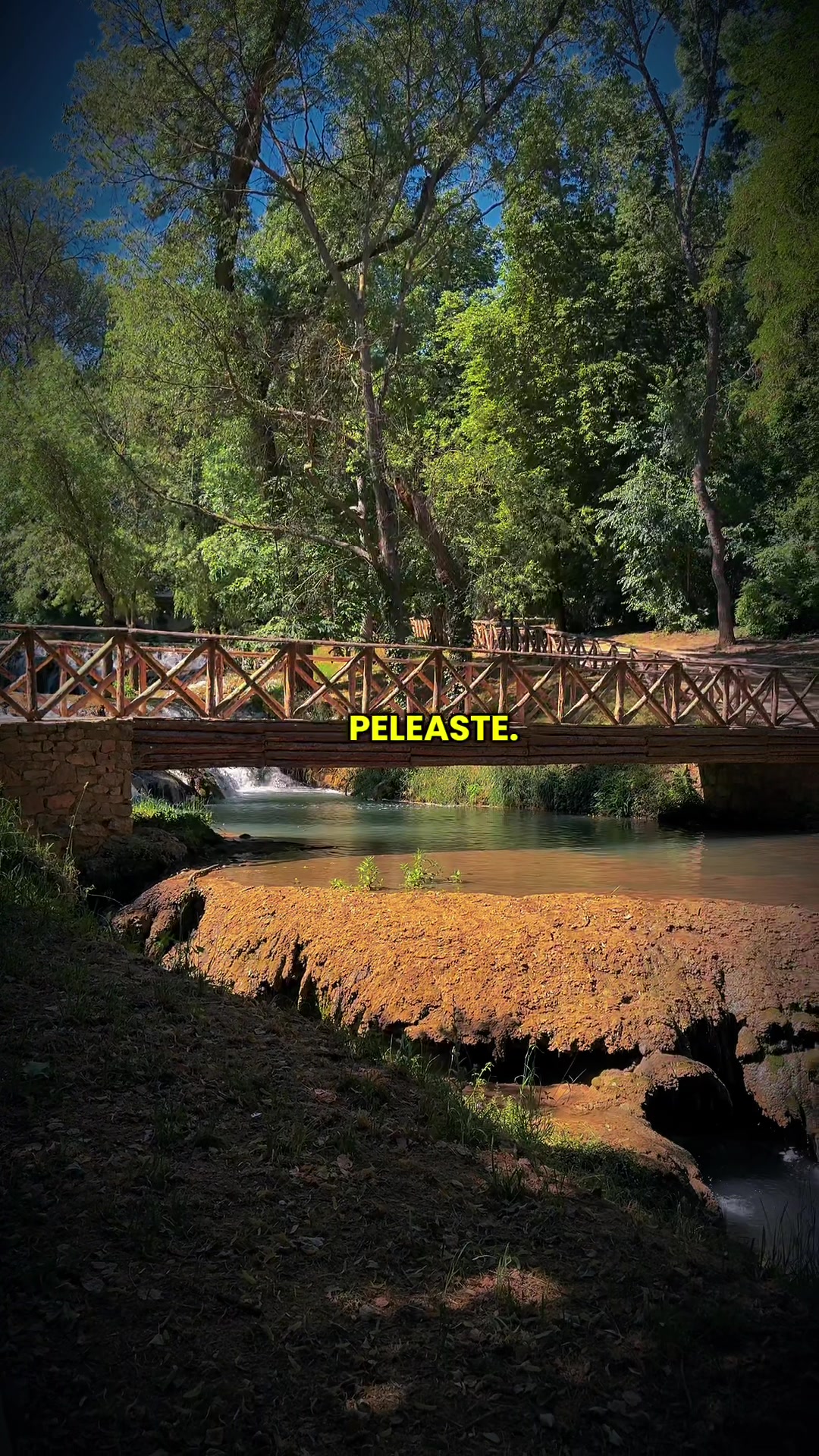 @🌺 𝓘𝓿𝓪𝓷𝓬𝓪 🌺