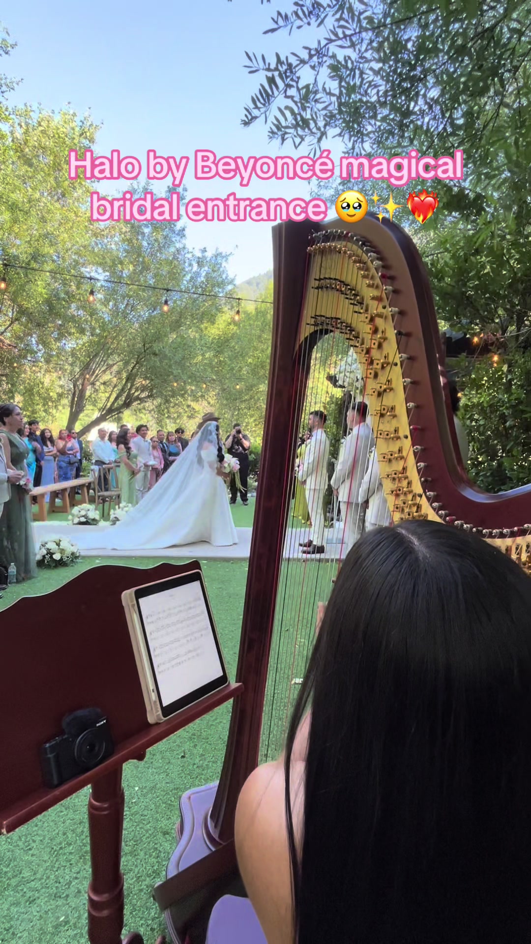 @betaniarodriguezharp