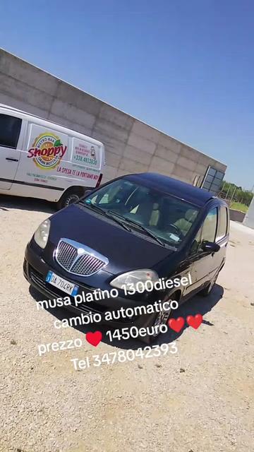 @vivi la vita 87 ๐๐๐