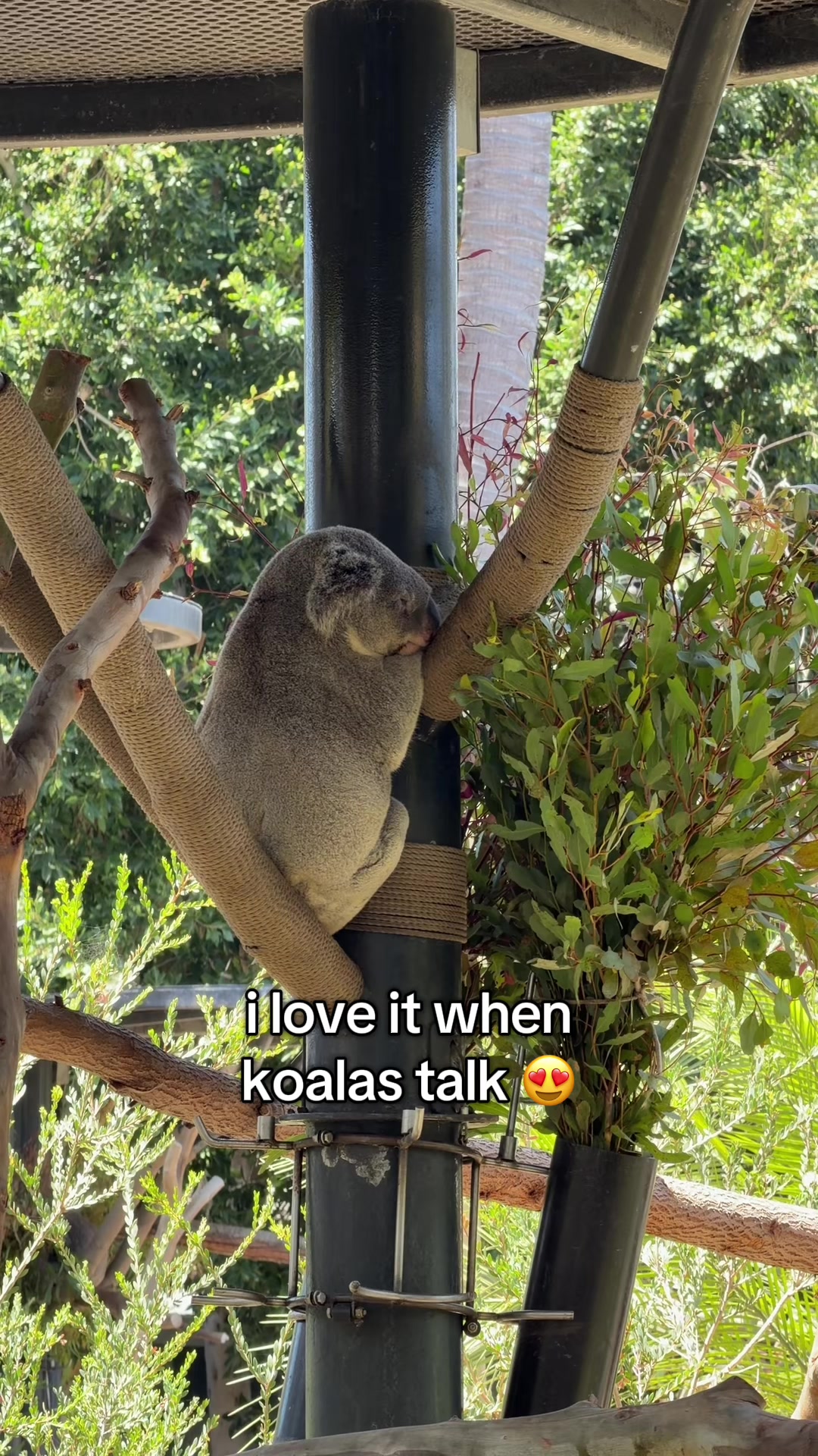@sandy cheeks⁷ 🎞️