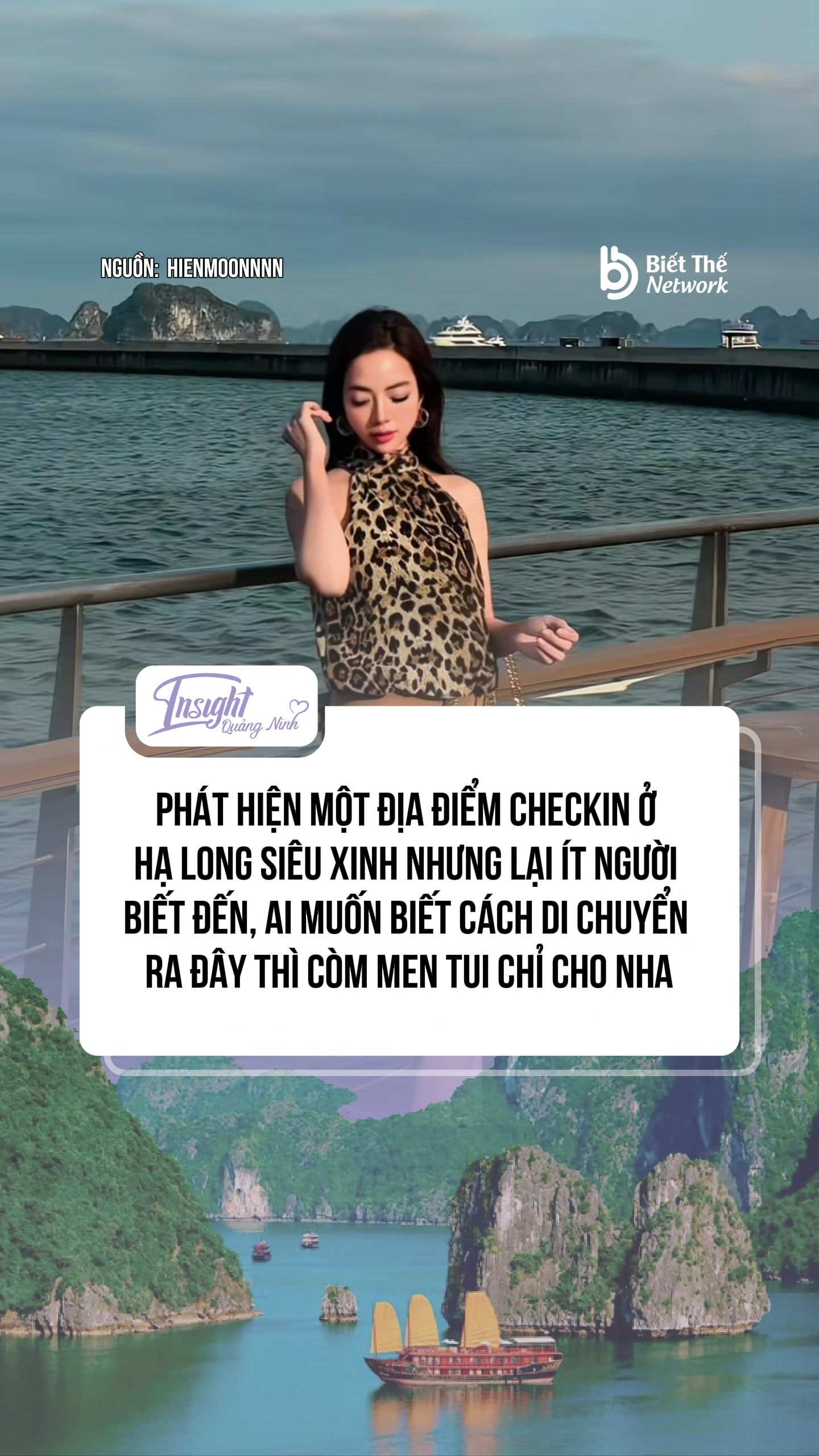 @Insight Quảng Ninh