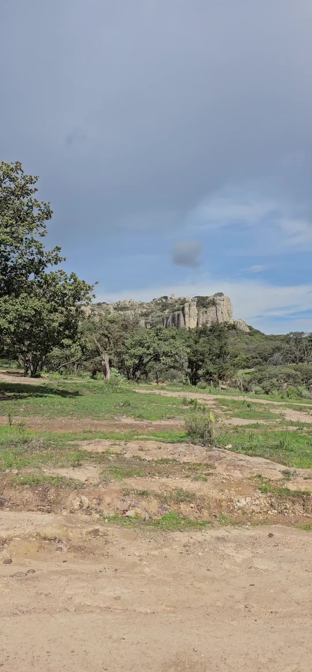 @memohuerta
