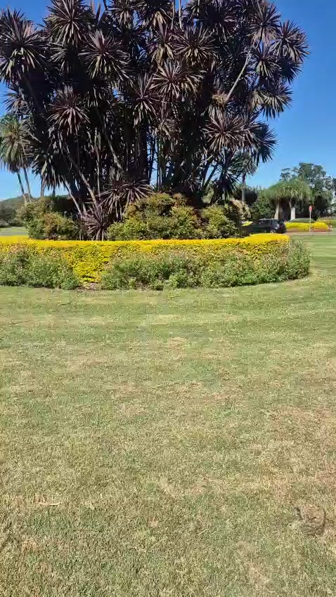 @ek ajanabi