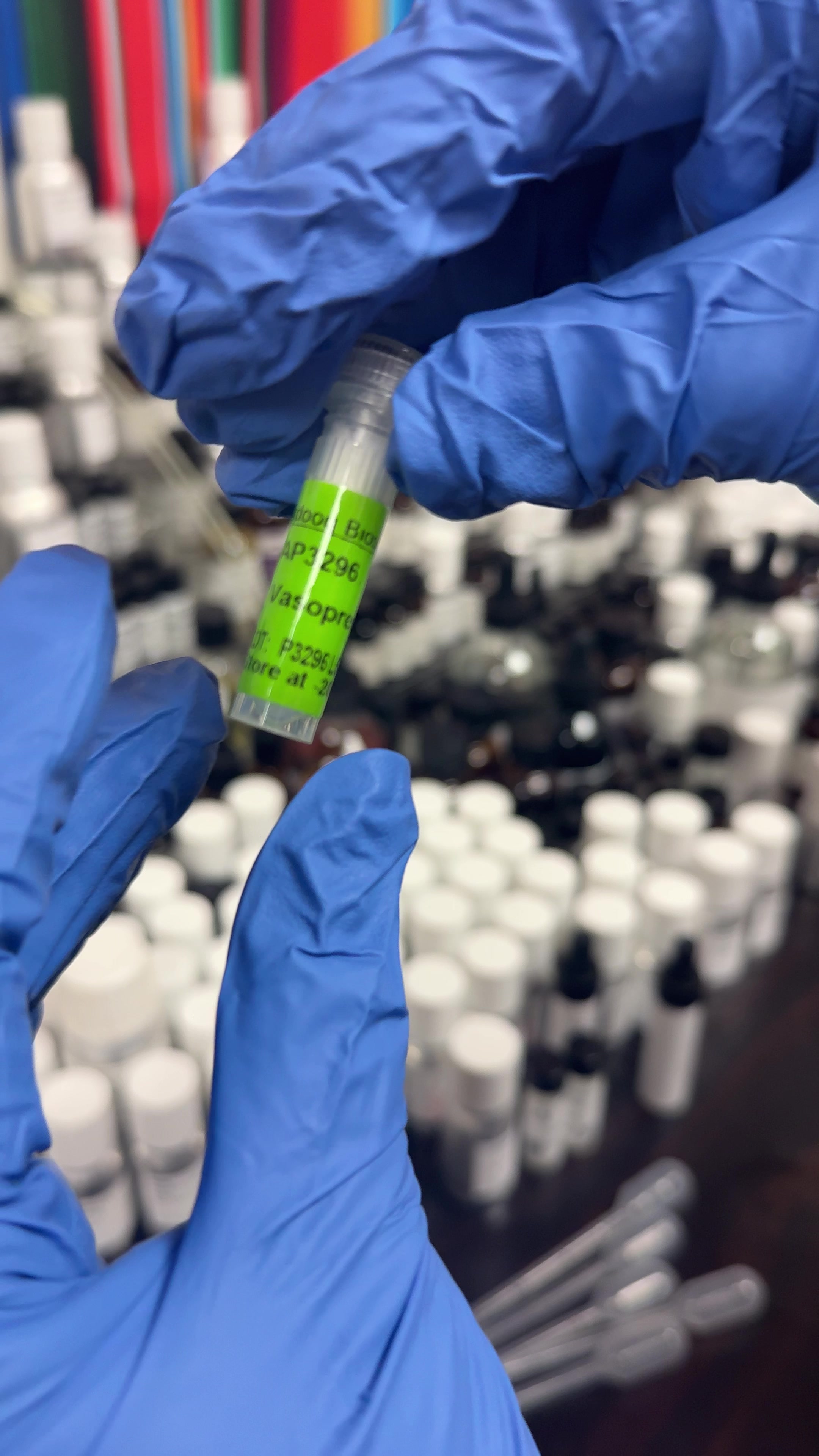 @Bruja Perfume Lab