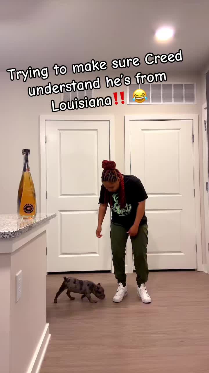 @danii_p__