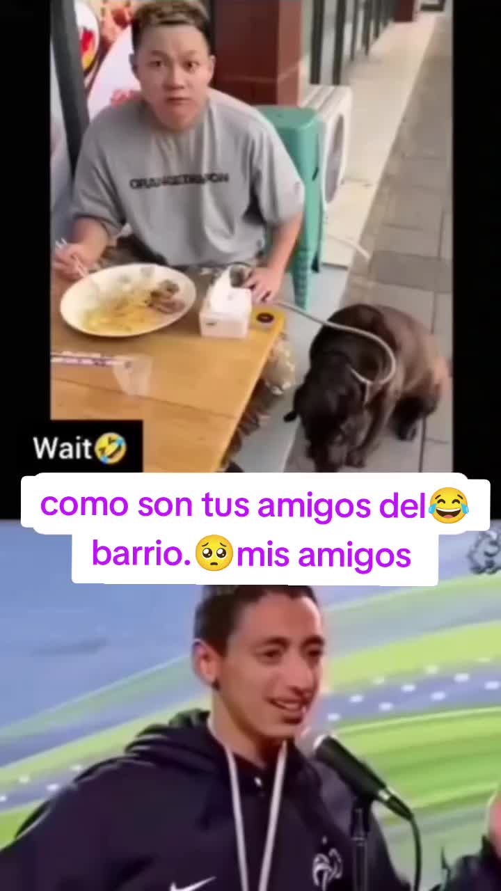 @pisote+504