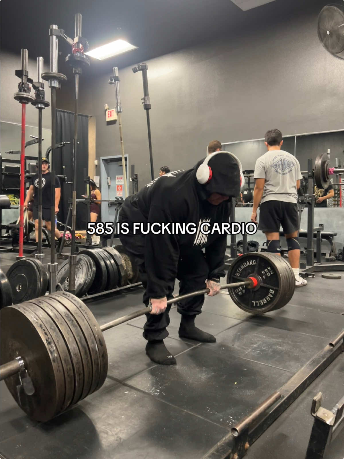 @TRENZILLA 🦍🇺🇸
