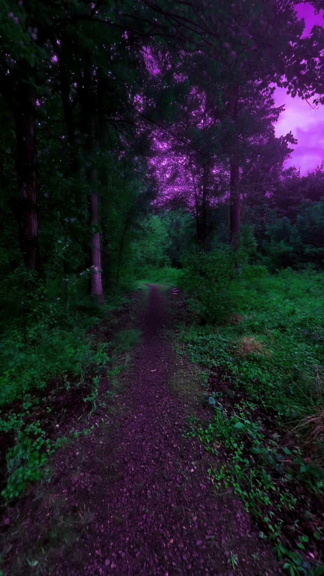 @DarkSpaces