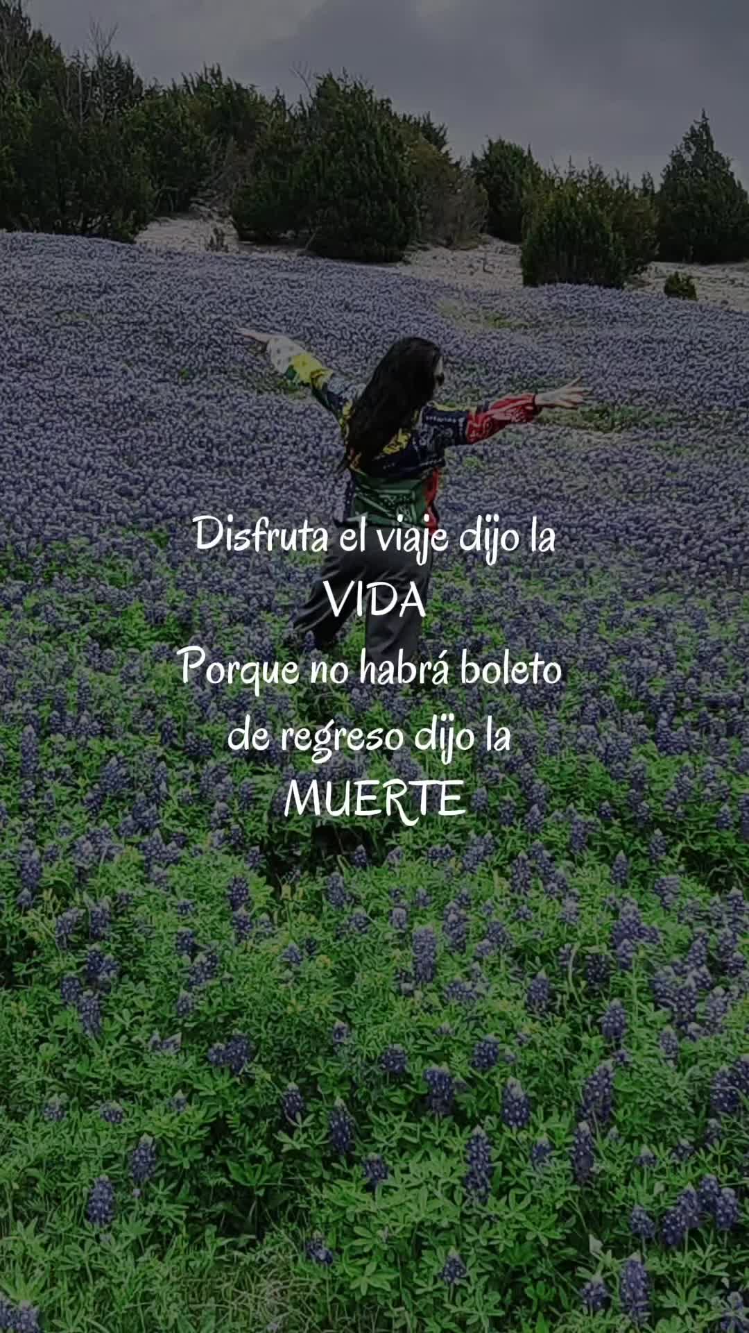 @Aleyam