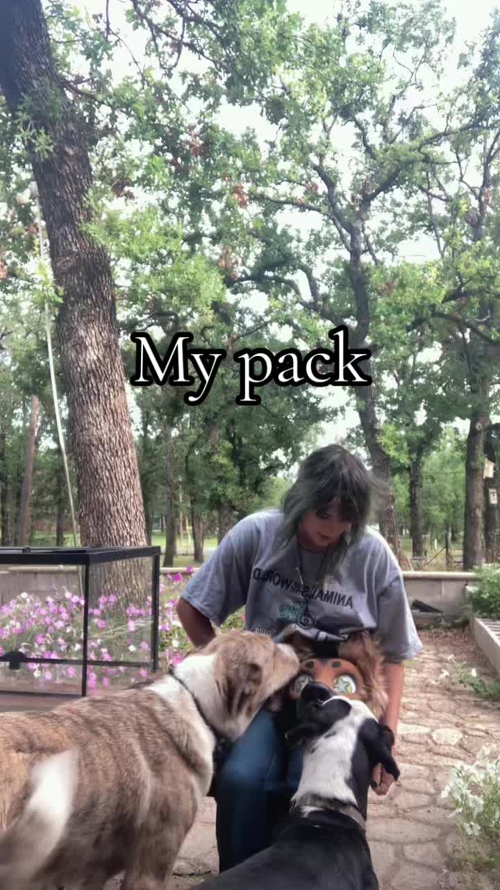 @🦴_𝘰𝘚𝘤𝘰𝘹𝘢𝘦_🦴