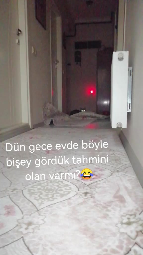 @şanslı