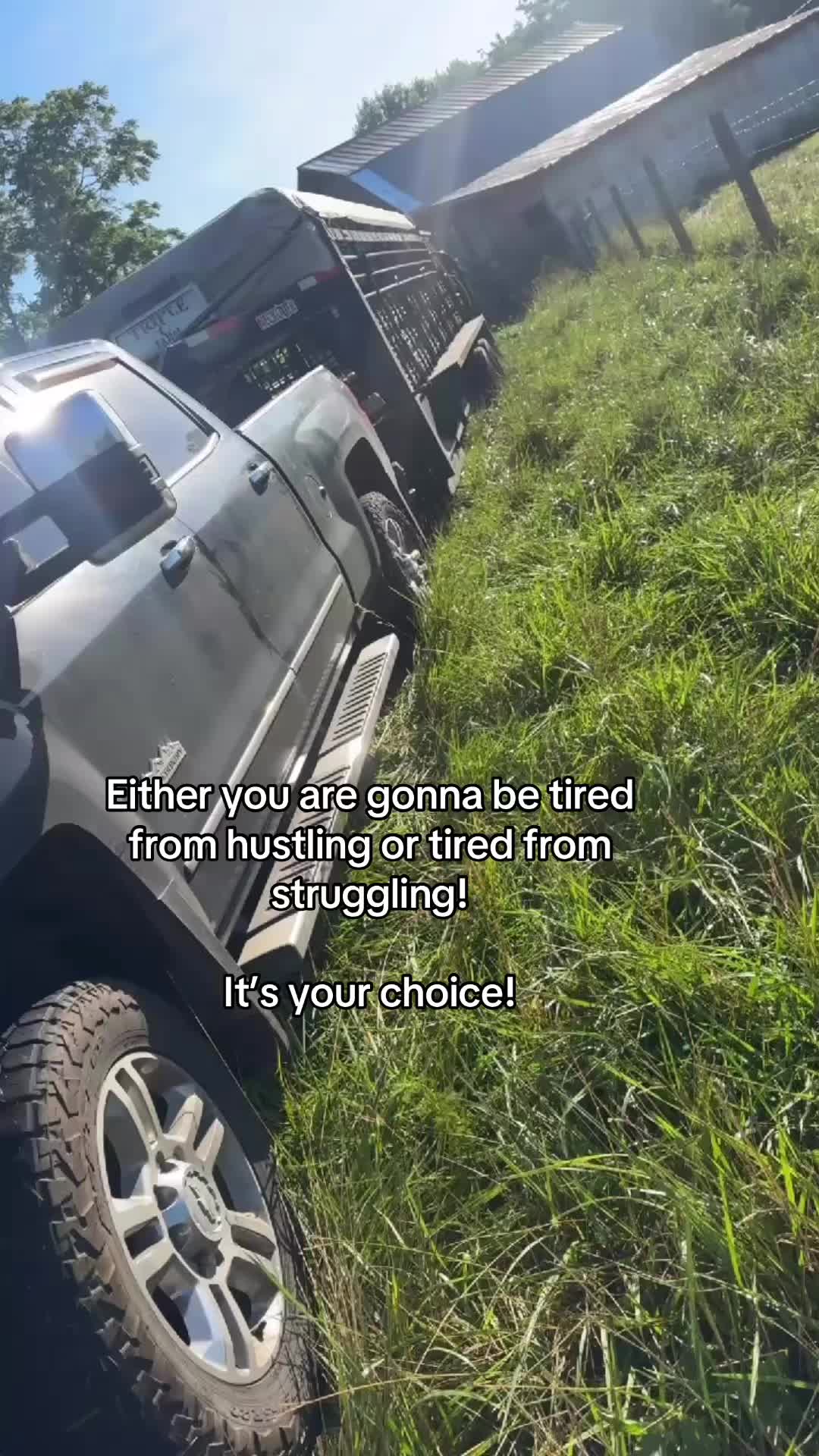 @tripleclivestock