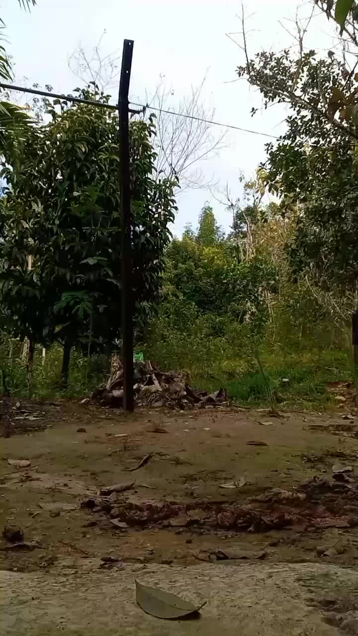 @Kepoya?