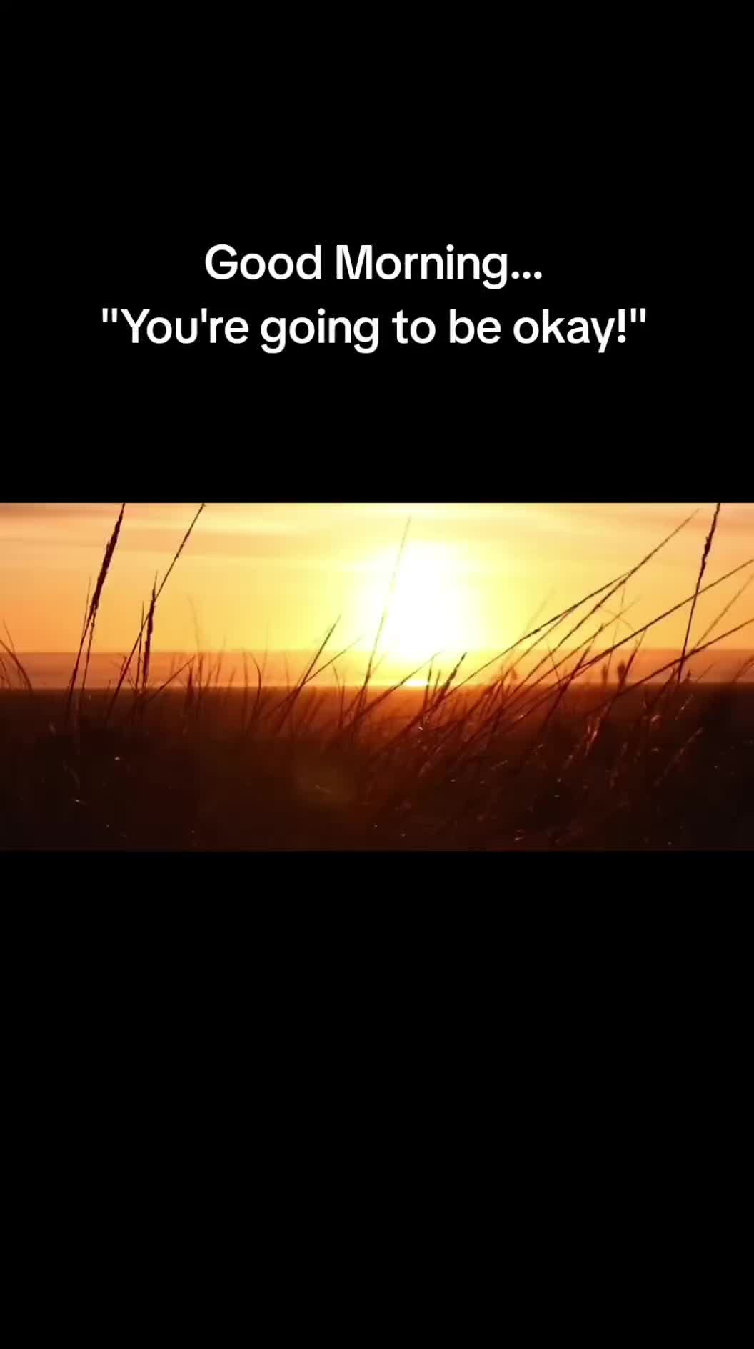 @Dawn Kelly