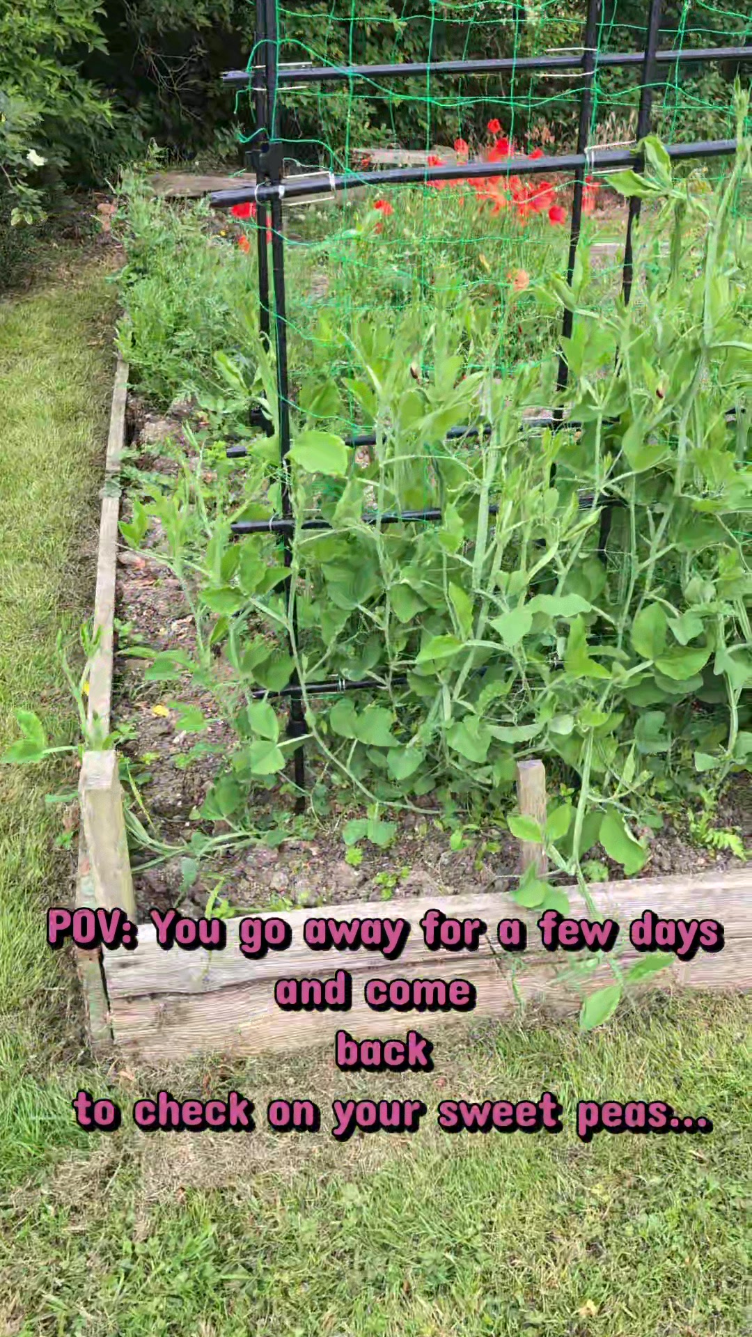 @Court Farm: Home & Garden