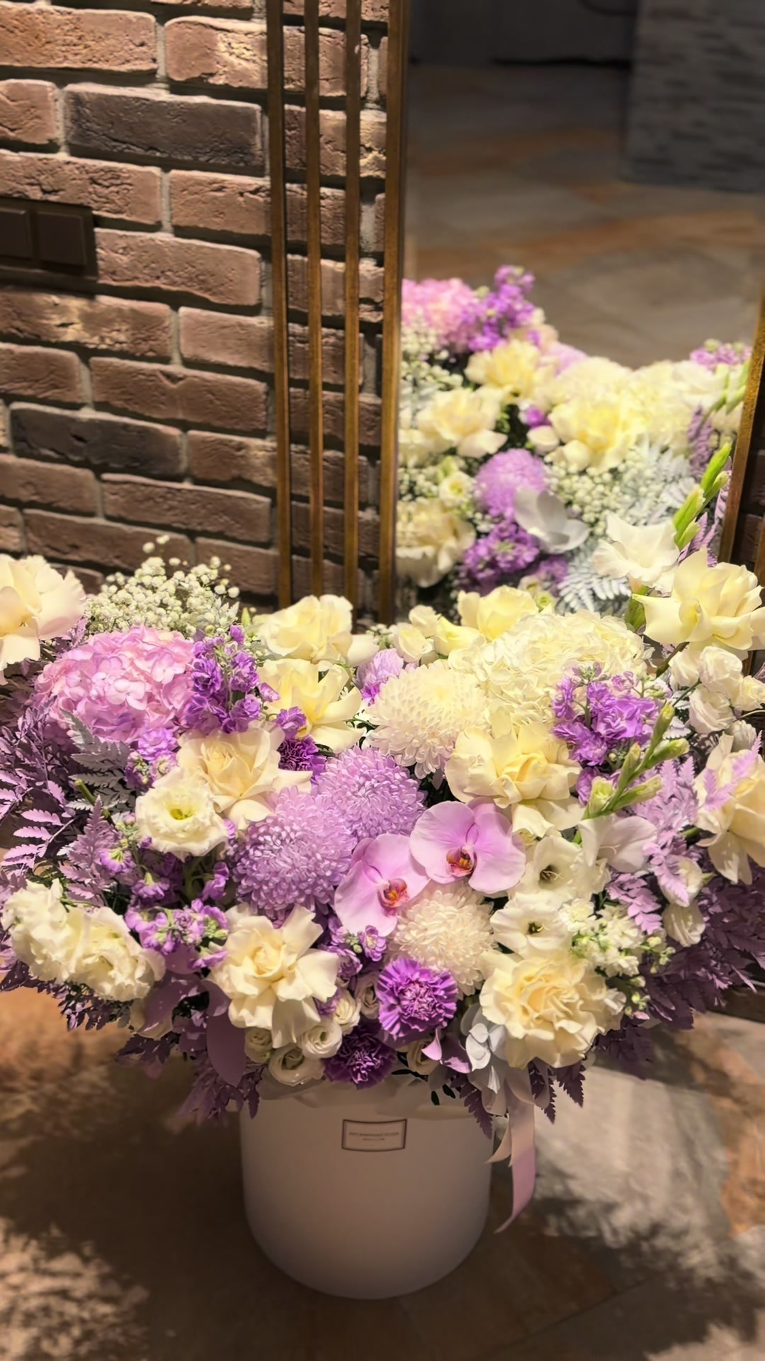 @ll7anisa