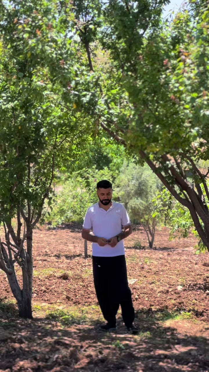 @İbrahim BAH&Ccedil;E  🕊️