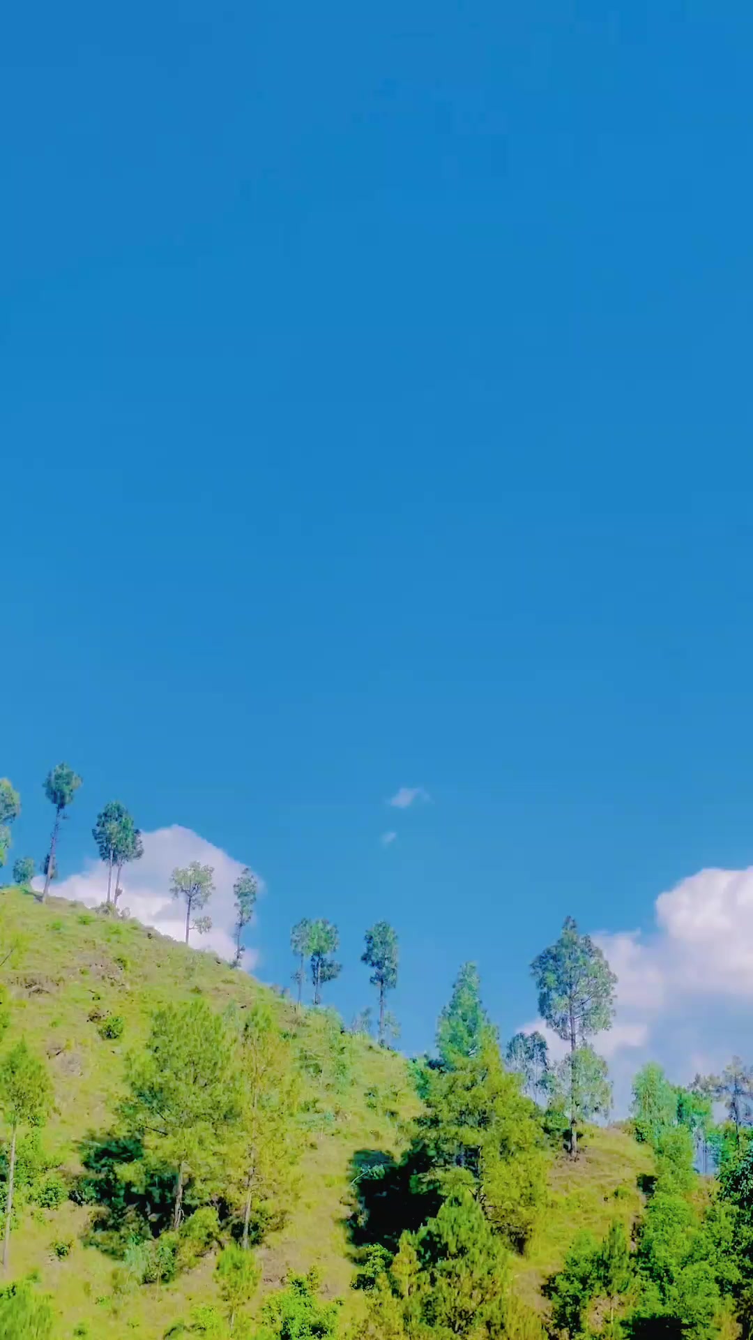 @✩彡 𝗨𝗠𝗔𝗥𝗢𝗢彡✩