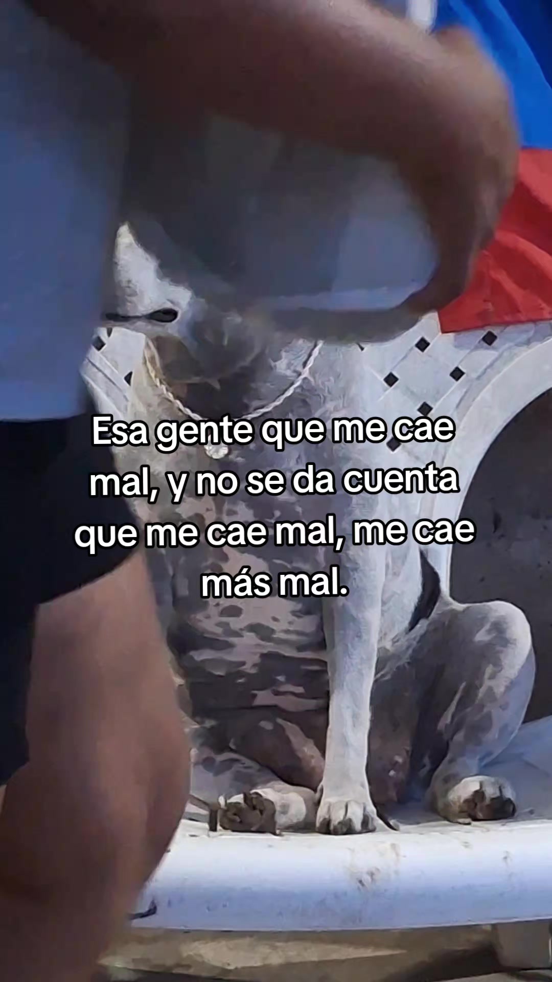 @MANCHAS 0714 OFICIAL
