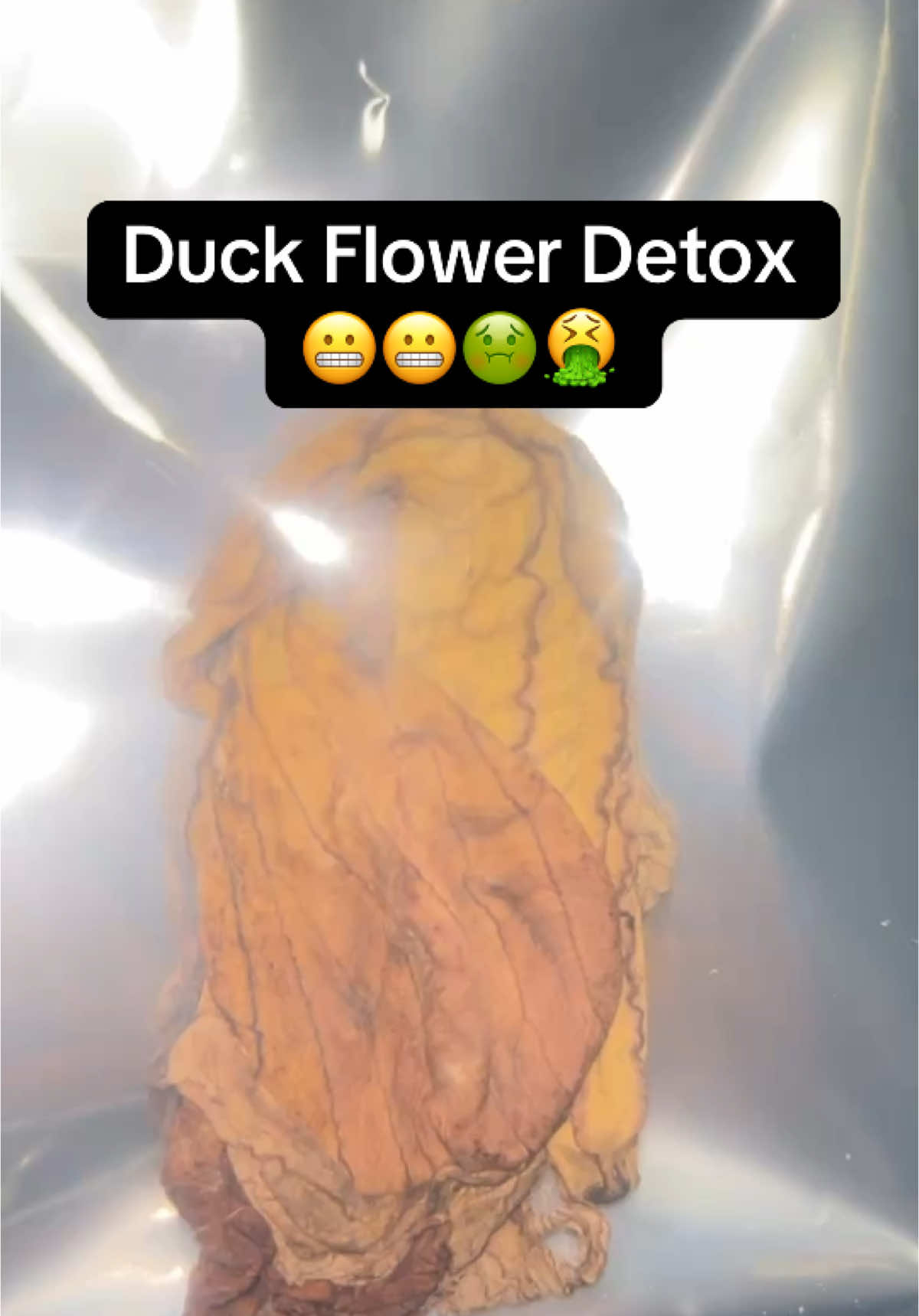 @Treydubb ๐ง๐พ