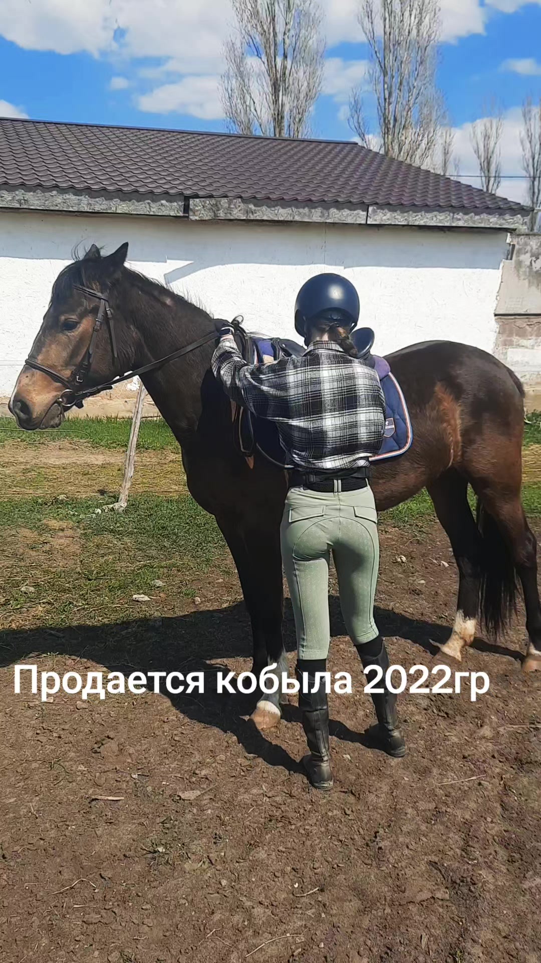 @Александр Червяков