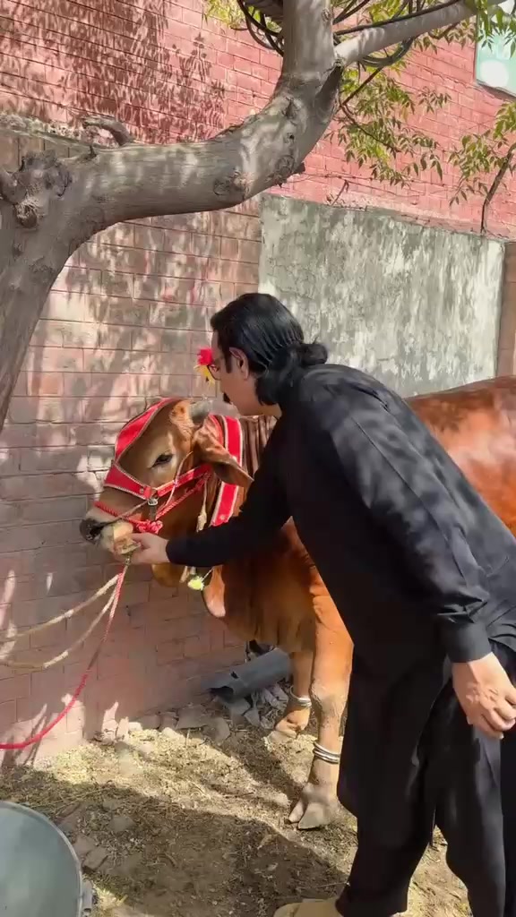 @Makhdoom Kashif shah