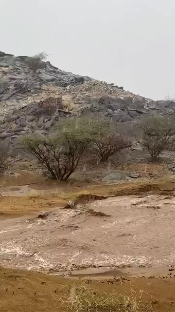 @ابو محمد السهيمي
