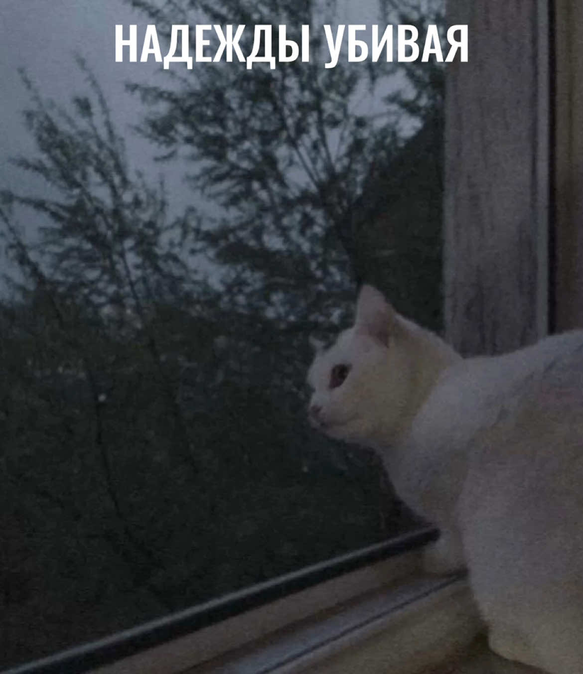 @𝐏𝐫𝐢𝐧𝐜𝐞
