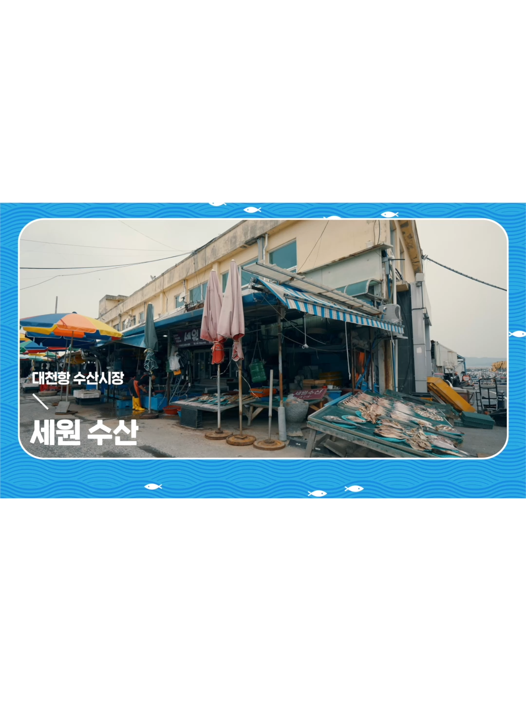 @대천항수산시장