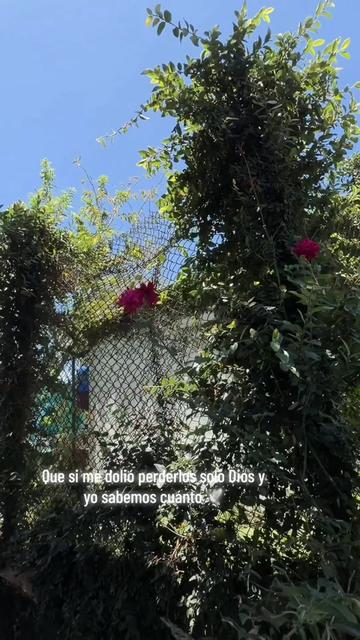@Sandrita Totis