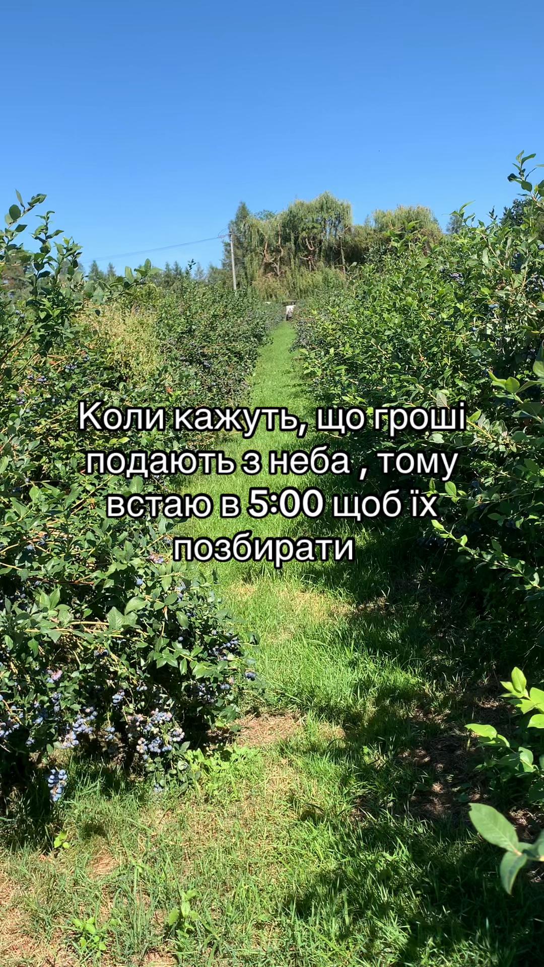 @Уля 🐈