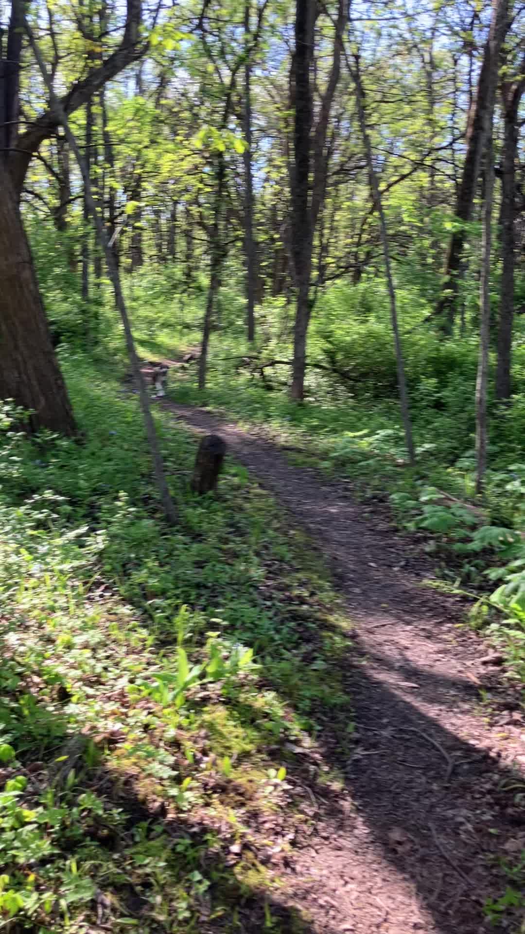 @Hikingwithstanley