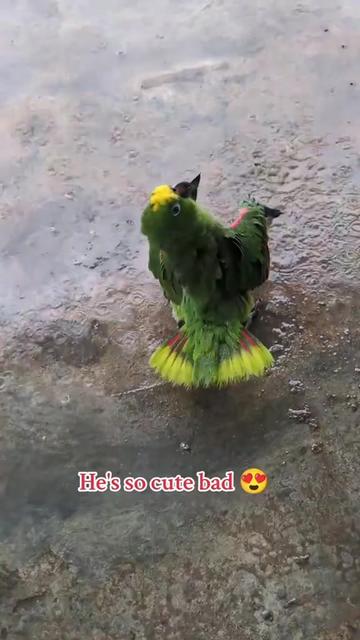 @𝓜𝓲𝔁𝓮𝓭 𝓲𝓷𝓭𝓲𝓪𝓷 🇬🇾