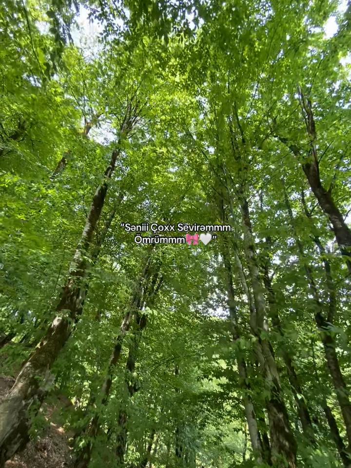 @𝐅𝐚𝐦𝐢𝐥❤️&zwj;🩹🩹