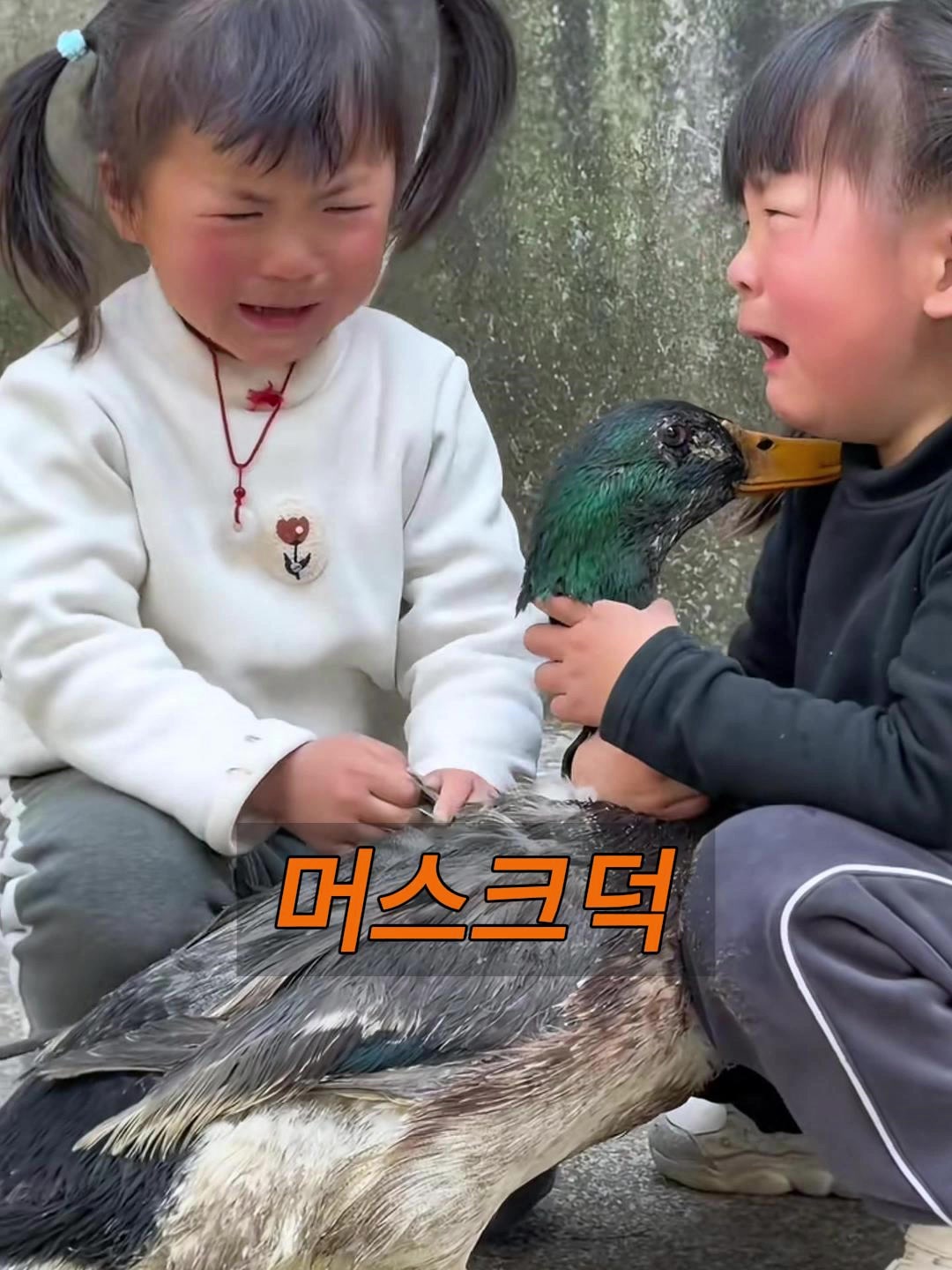 @삼촌Cut2025
