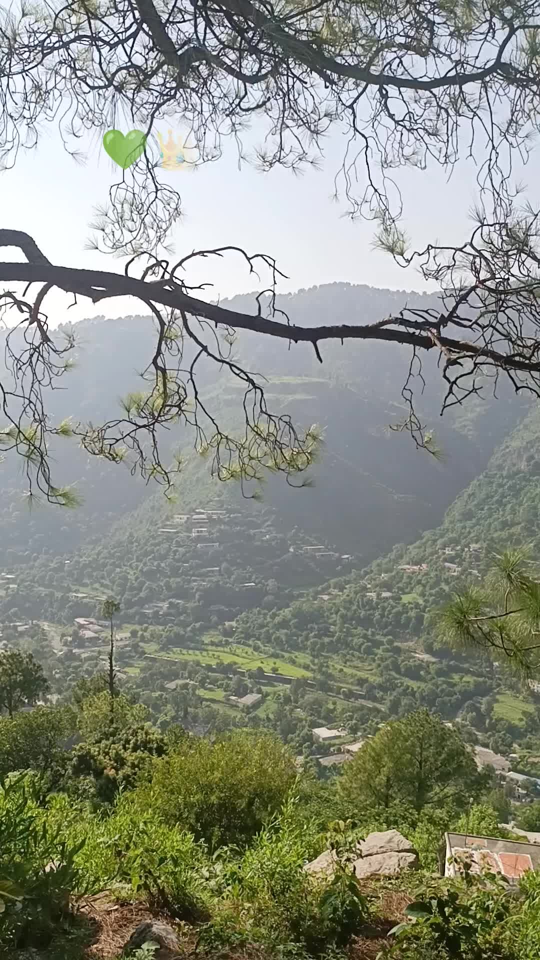@꧁༒☬الشیخ عبداللہ سلفی☬༒꧂