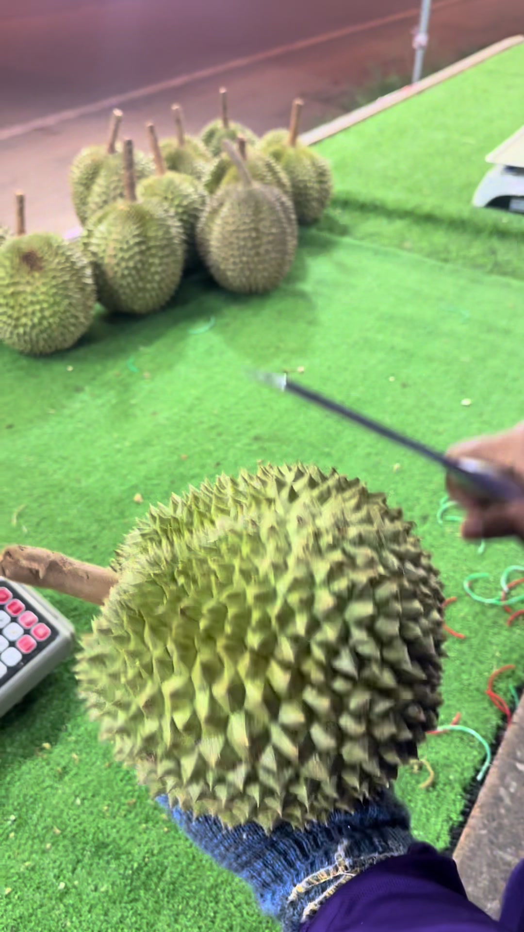 @Durian Batu 6