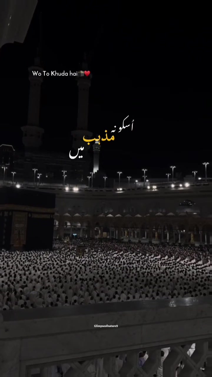 @Amna Mir❥