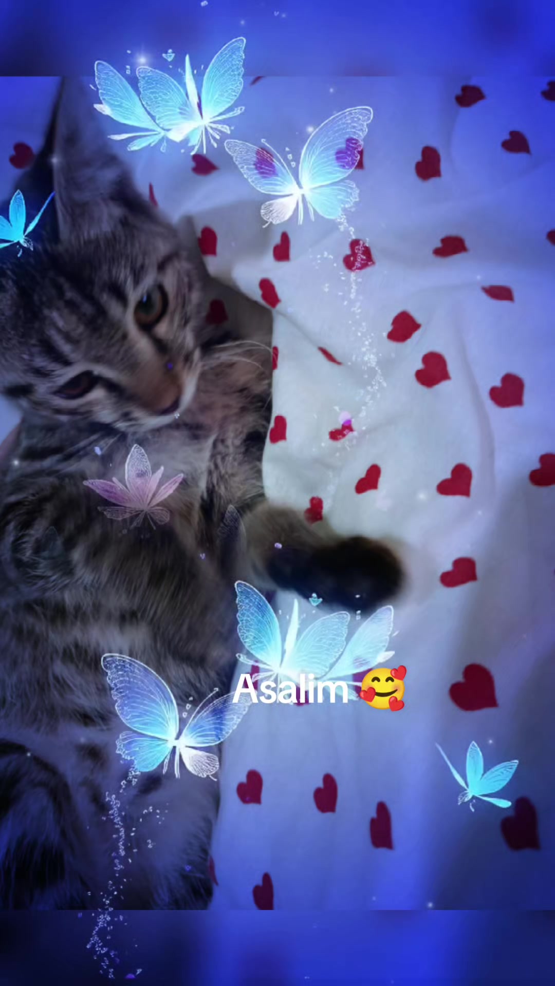 @🫴💕Milanachem🫴💕