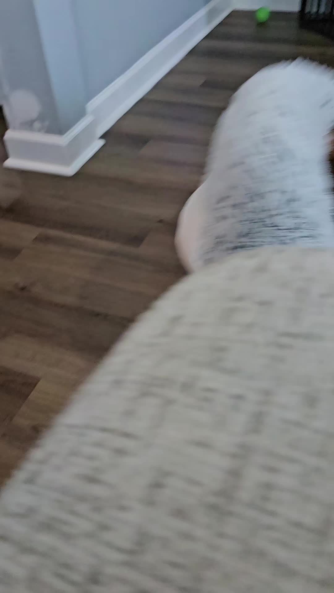 @Aria