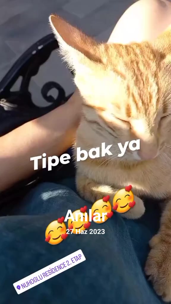 @Nurgül 74