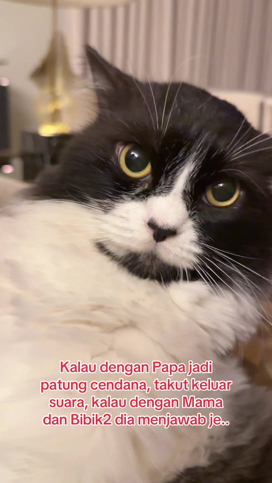 @Haliza Maysuri