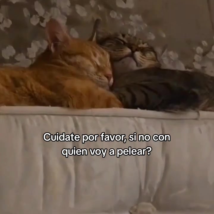 @goodvibessxd
