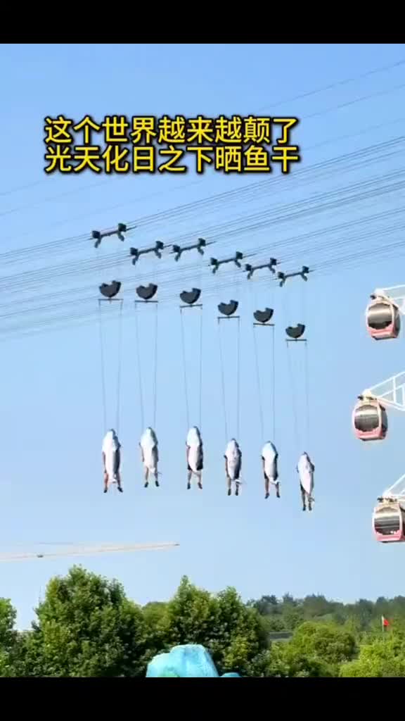 @18号