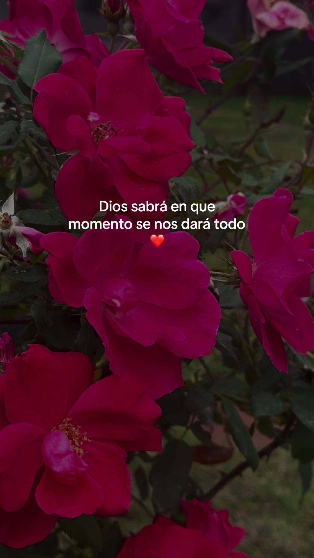 @💗