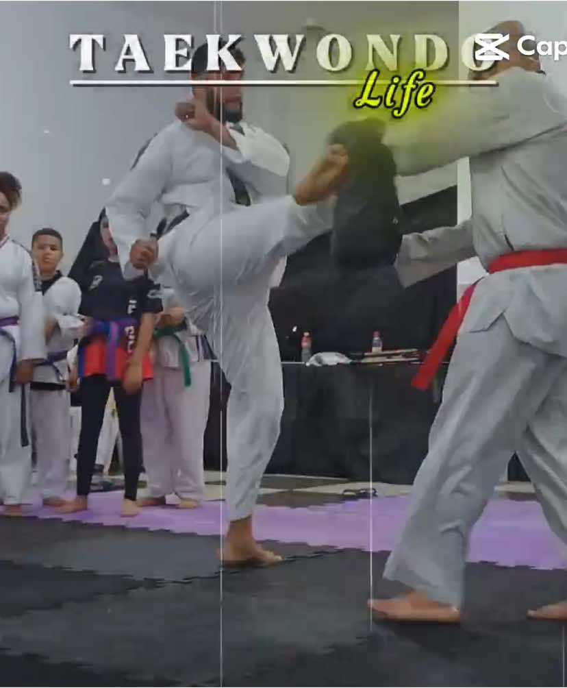 @Tavares TKD Fight