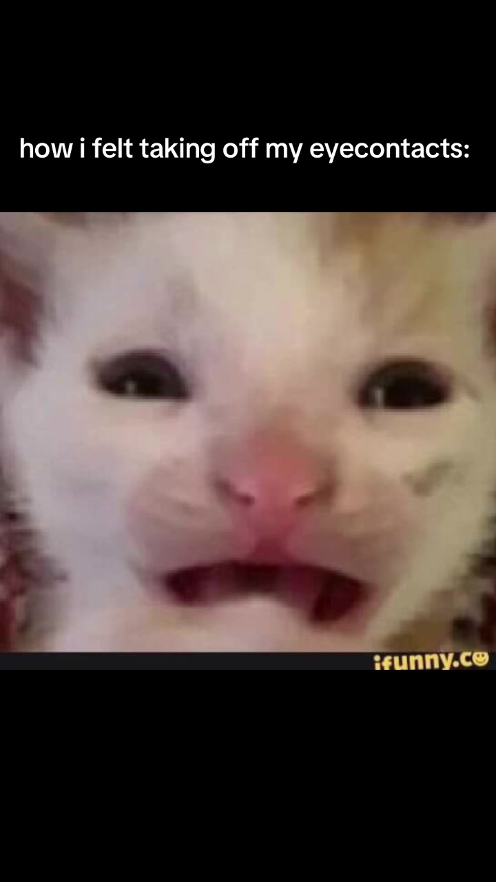 @🪷
