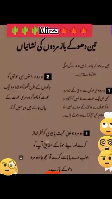 @miss mirza