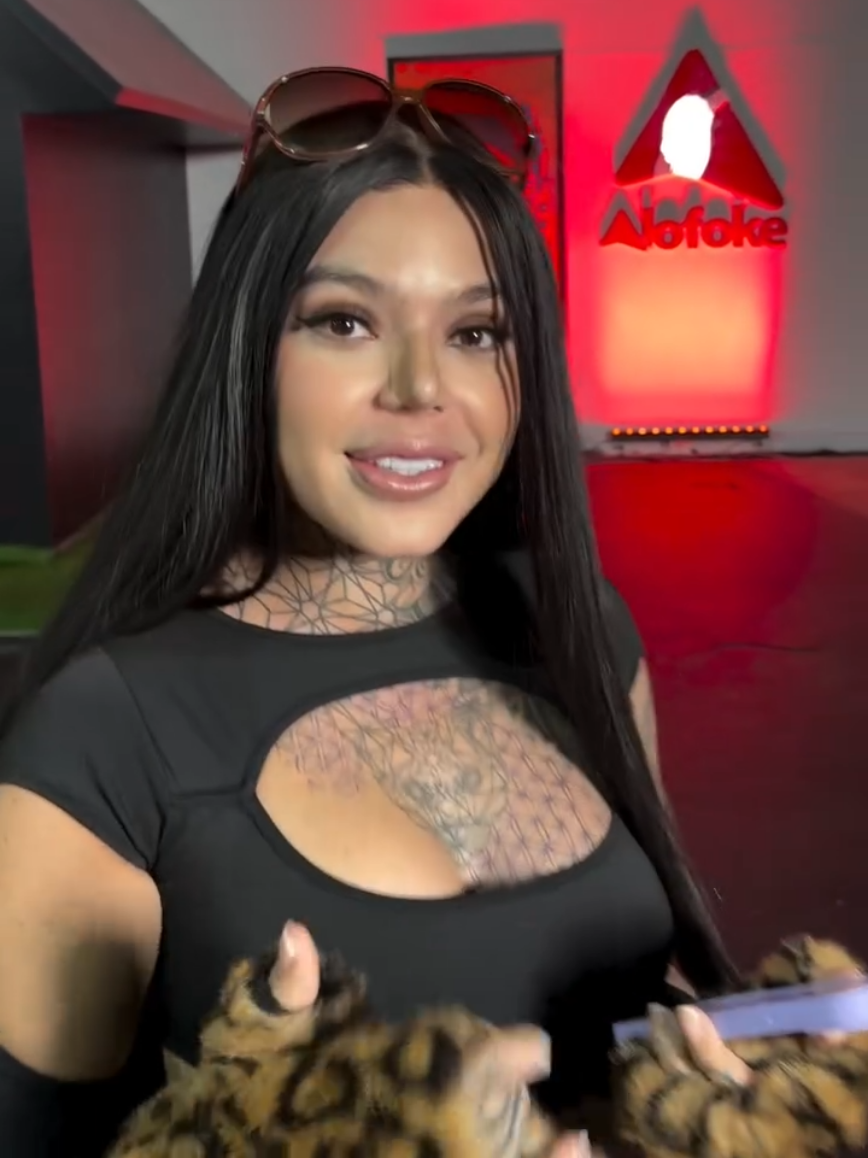 @meligatevids