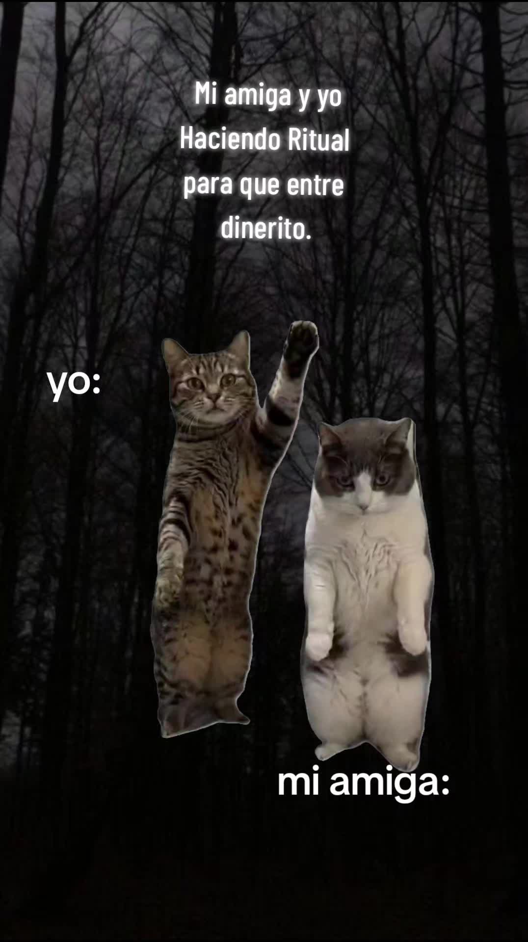 @@𝖌𝖗𝖎𝖘𝖘𝖊𝖑
